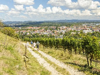 3 Tage Auszeit im Hotel Lamm in Singen am Bodensee
