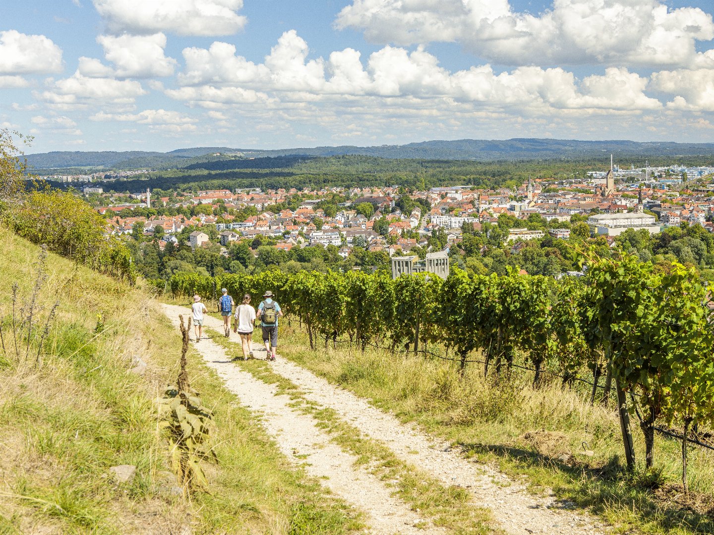 3 Tage Auszeit im Hotel Lamm in Singen am Bodensee