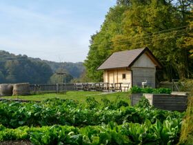 Erholung mit Fitness in Slowenien inkl. Halbpension | 2 Nächte