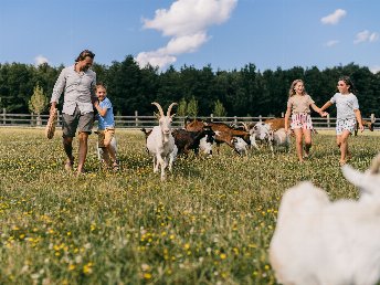 All Inklusive Wellnessauszeit für die ganze Familie im Reiters Finest Family Bad Tatzmannsdorf |