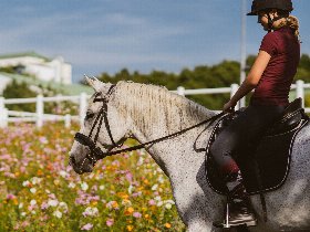 All Inklusive Wellnessauszeit für die ganze Familie im Reiters Finest Family Bad Tatzmannsdorf |