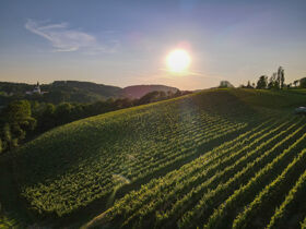 Aktive Erholung im steirischen Bad Gleichenberg inkl. Lunchpaket | 1 Nacht