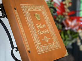 Aktive Erholung im steirischen Bad Gleichenberg inkl. Lunchpaket | 1 Nacht