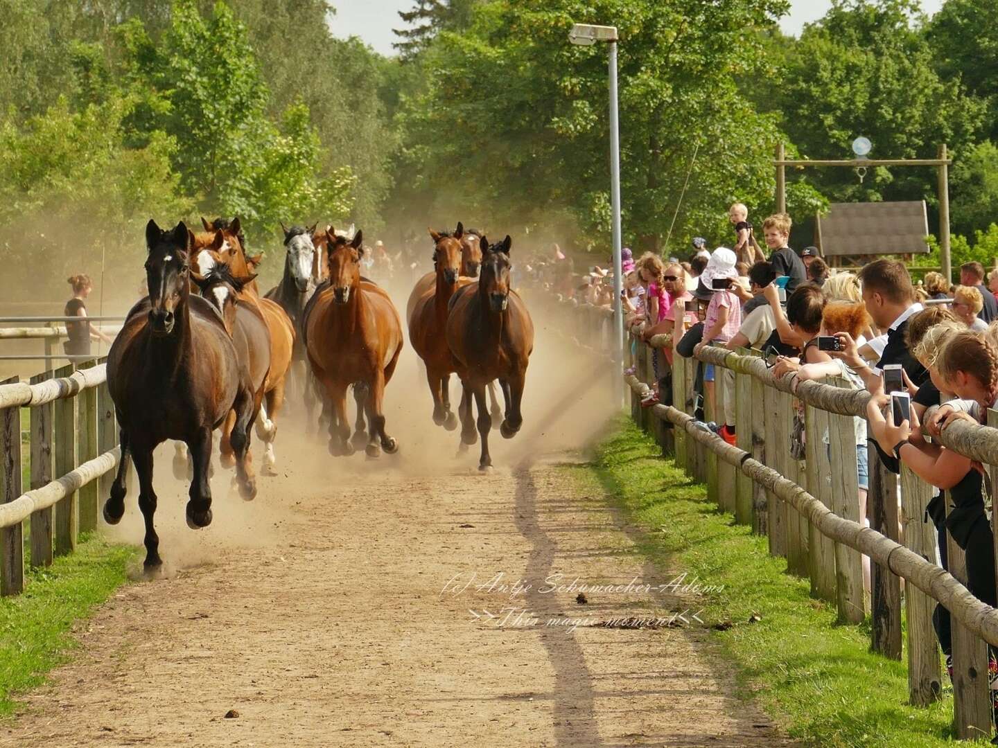 Reiterfreundinnen-Special
