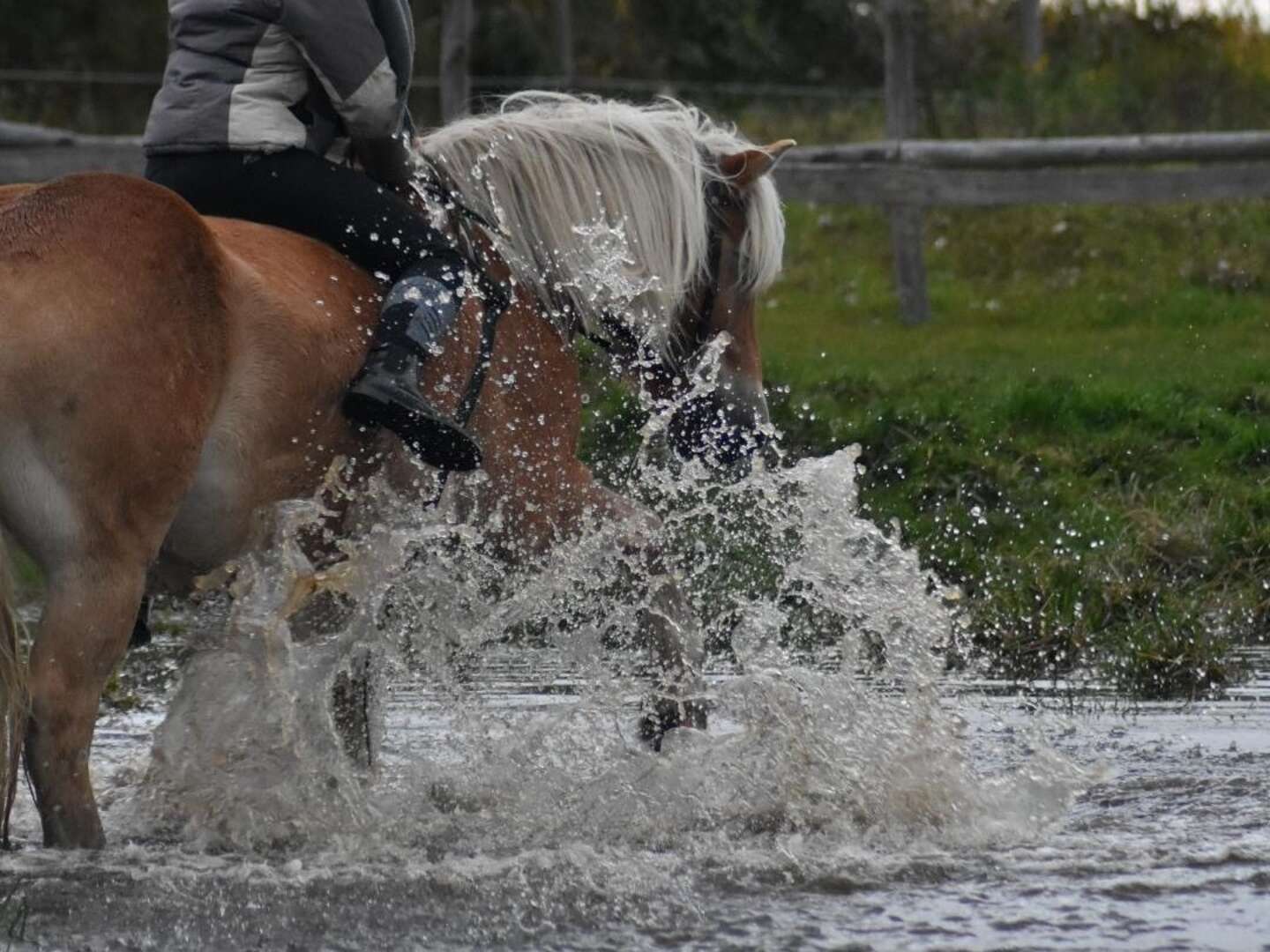 Lagunenreiterwochenende