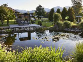 Einfach mal vorbeischauen im Allgäu 