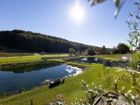 Wellness & Genuss im Südburgenland inkl. Halbpension | 4 Tage