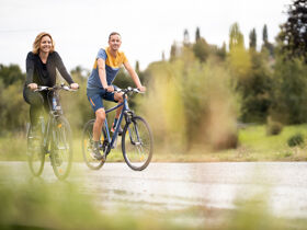 Wellness & Genuss im Südburgenland inkl. Halbpension | 4 Tage