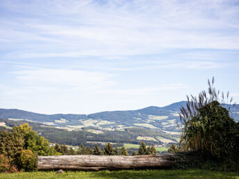TOP-Wellness Schnäppchen Kurzurlaub Special - Adults only im Südburgenland | 2 Nächte