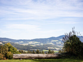 Wellness & Genuss im Südburgenland inkl. Halbpension | 4 Tage