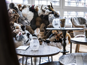 Winterspaß in Maria Alm am steinernen Meer, Region Hochkönig, mittendrin!