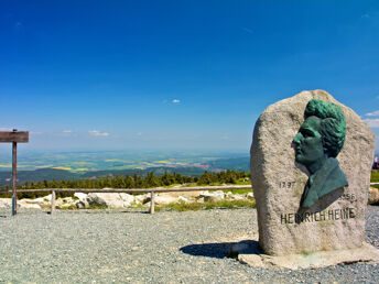 Erlebnis-Auszeit im Harz - 2 Urlaubstage in Ilsenburg