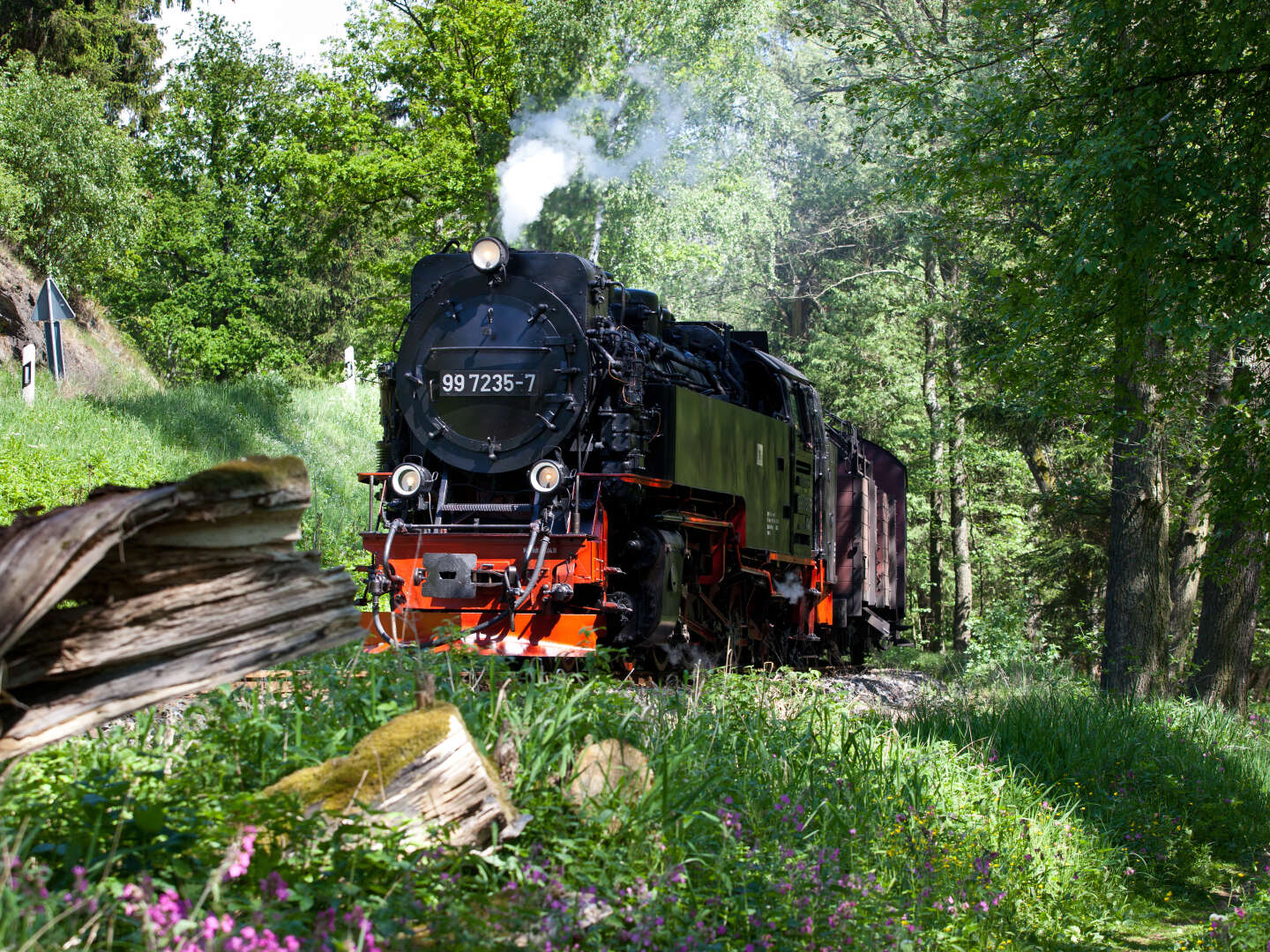 Erlebnis-Auszeit im Harz - 2 Urlaubstage in Ilsenburg