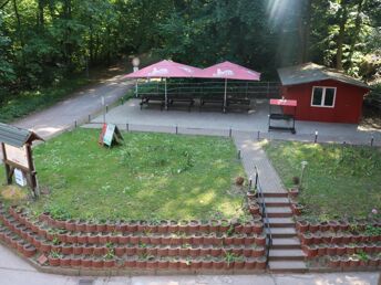 Erlebnis-Auszeit im Harz - 2 Urlaubstage in Ilsenburg