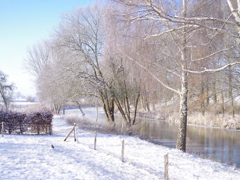 Bild 34 von 35