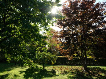 Bild 32 von 35