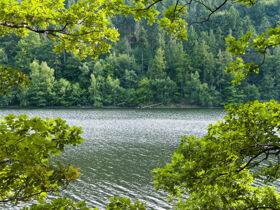Auszeit vom Alltag mit Gourmet Menü zwischen Schwarzwald, Bodensee & der Schweiz