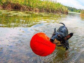 All Inclusive im Spätsommer am Maltschacher See | 1 Nacht