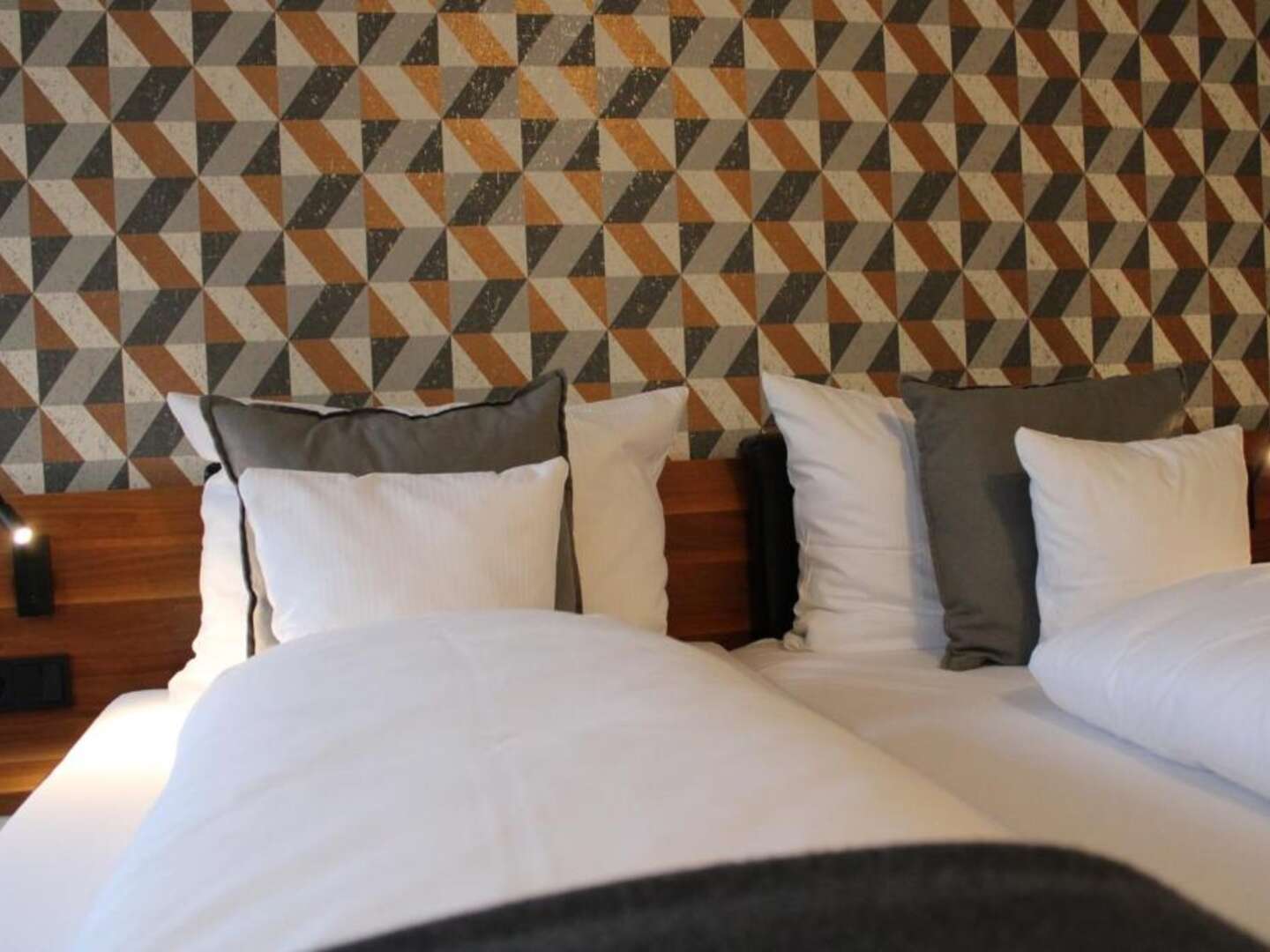 2 Tage Kurzurlaub - Erkunde mit dem Fahrrad unser Radfahrparadies in einem neuen Hotel Hasetal