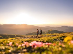Berg & See Erlebnisse in den Kärntner Nockbergen inkl. Bike-Tour oder Wanderung | 3 Nächte