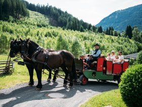 Berg & See Erlebnisse in den Kärntner Nockbergen inkl. Bike-Tour oder Wanderung | 3 Nächte