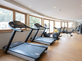 Ski & Wellness  – Winterzauber im Trattlerhof| 3 Nächte