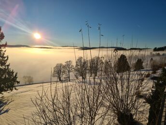 Erholsame Auszeit vom Alltag im Schwarzwald I 2 Nächte