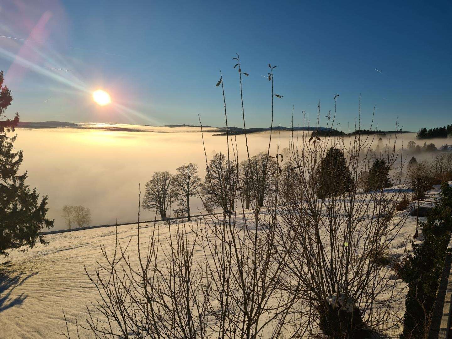 Erholsame Auszeit vom Alltag im Schwarzwald I 2 Nächte