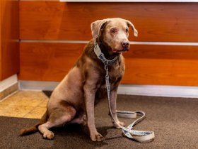 2 Tage Frankfurt am Main erleben. Zu kurz und bestimmt aufregend!