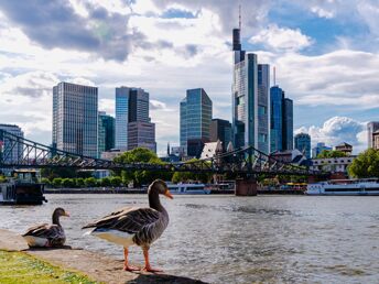 Frankfurt am Main entdecken | 6 Tage 