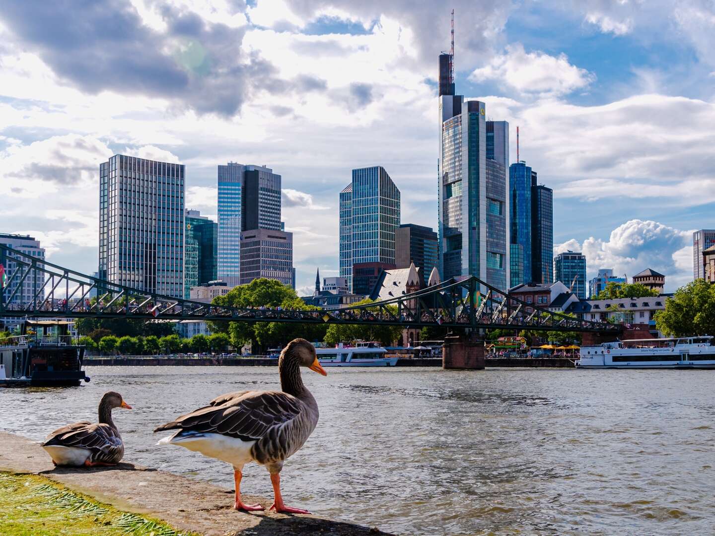 Frankfurt am Main entdecken | 6 Tage 