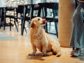 Romantischer Kurzurlaub nach Graz l 6 Tage 