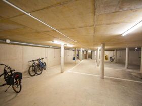 Gemeinsam unterwegs im Emsland