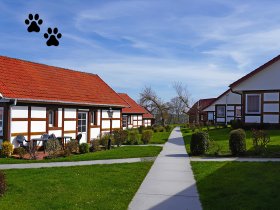 Halbpension Plus2 2025