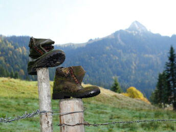 Aktivurlaub umgeben von der Tiroler Bergenwelt | 6 Nächte inkl. Lunchpaket & Frühstück am Anreisetag
