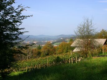 Guesthouse Novak: Naturgenuss und Ruhe im Herzen Sloweniens | 3 Nächte