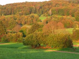 Guesthouse Novak: Naturgenuss und Ruhe im Herzen Sloweniens | 3 Nächte