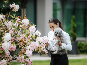 10% OFF - Romantische Auszeit in Slowenien mit Halbpension | 3 Tage