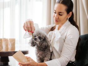 Entspannende Auszeit mit Ihrem Vierbeiner in Slowenien inkl. Halbpension | 2 Nächte