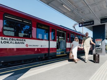 Stadt-Land-Anthering. Kultururlaub vor den Toren Salzburgs I 2 Nächte