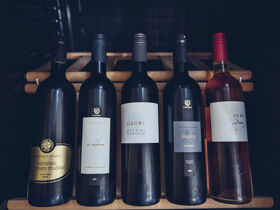 Wellness & Stadt - Urlaub in Slowenien inkl. Halbpension und Gondelfahrt nach Maribor | 2 Nächte