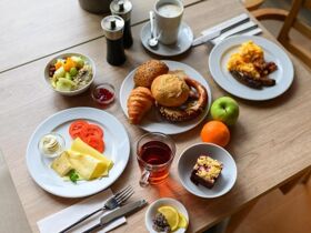 Herforder Neujahrsmomente - Silvester im Teutoburger Wald