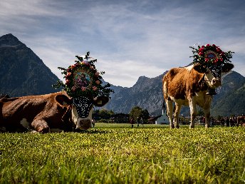 Auszeit am Achensee in Tirol | 3 Nächte