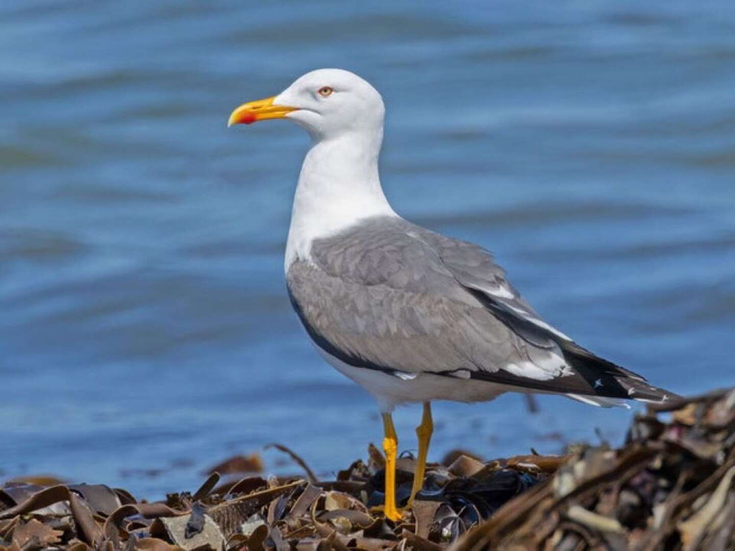 3 Tage Romantischer Urlaub an der Nordsee direkt am Elberadweg 