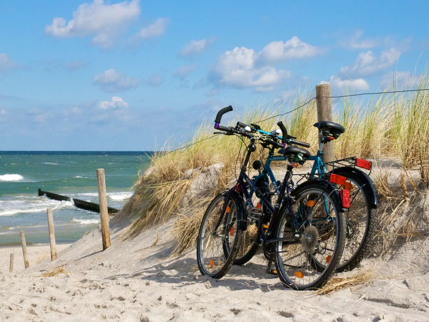 3 Tage Romantischer Urlaub an der Nordsee direkt am Elberadweg 