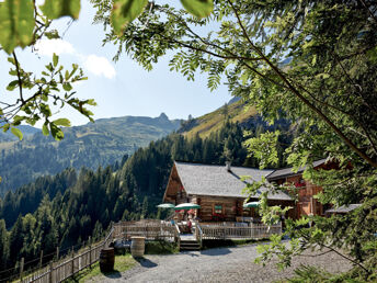 Bild 12 von 34