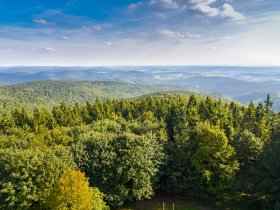 Rennsteiger Wochentagsschnäppchen - 3 Tage inkl. HP plus