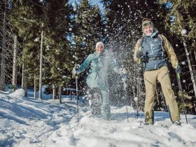 Wanderurlaub in der Region Schladming Dachstein inkl. Winterwander Ticket | 5 Nächte 