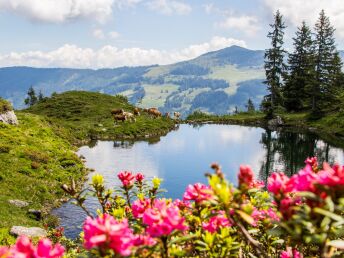 Aktive Tage in Tirol - Wildschönau | 7 Nächte
