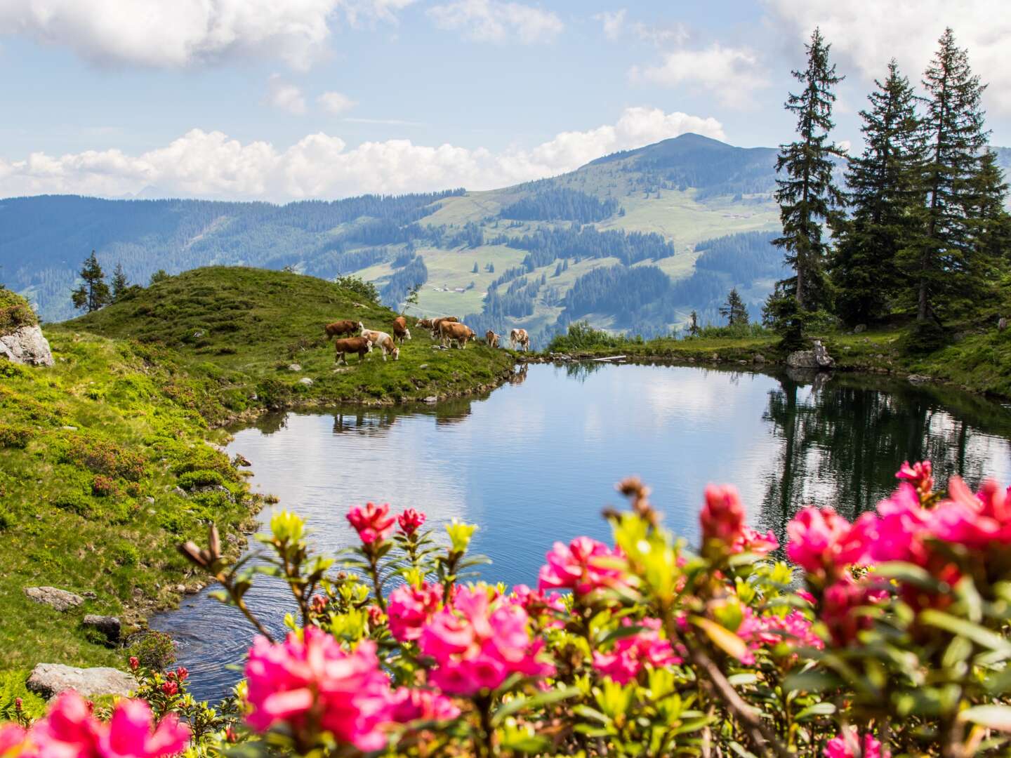 Aktive Tage in Tirol - Wildschönau | 7 Nächte